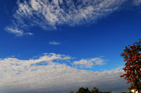 Beautiful arrangement of clouds in the skyの写真素材