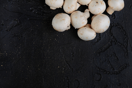 Mushrooms on black cement. Mushrooms on a concrete backgroundの写真素材