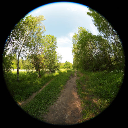 Around on Sky. Taken with a fisheye lens to give the special plate effect. The fresh air feel and...