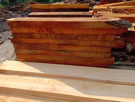 timber stock on saw millの写真素材