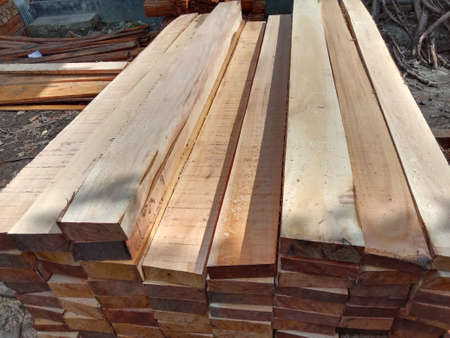 timber stock on saw millの写真素材