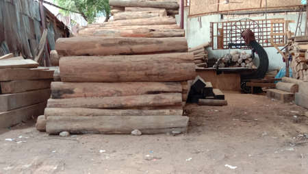 timber stock on saw millの写真素材