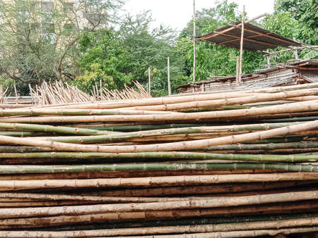 raw bamboo stock on shopの写真素材