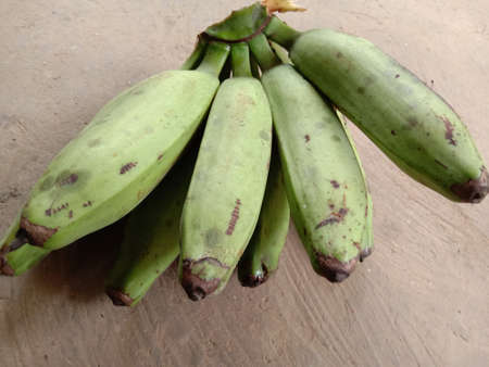 tasty and healthy raw banana bunch on gardenの写真素材