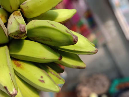 tasty and healthy raw banana bunch on gardenの写真素材