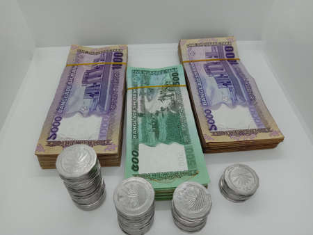 Bangladeshi bank note bundle and coin on white backgroundの写真素材