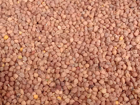 tasty and healthy Chickpea stock on shopの写真素材