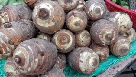 fresh and healthy arum stock on shopの写真素材