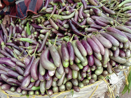 Fresh and healthy Raw Eggplant Stock on Shopの写真素材