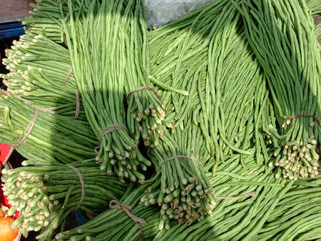 raw fresh and healthy Asparagus Bean stock on shopの写真素材