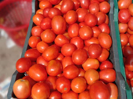 fresh tasty and healthy tomato stock on shopの写真素材