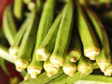 green colored fresh tasty healthy lady finger stock on shopの写真素材