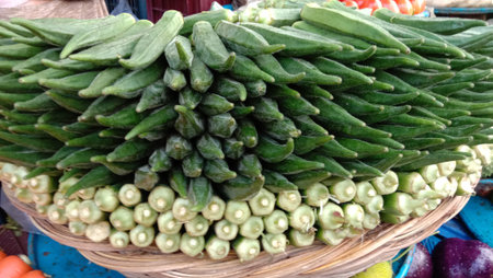 green colored fresh tasty healthy lady finger stock on shop