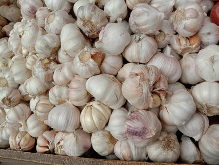 healthy and spicy garlic stock on shop