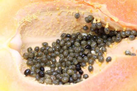 tasty and healthy colorful papaya cut peace with seedの写真素材