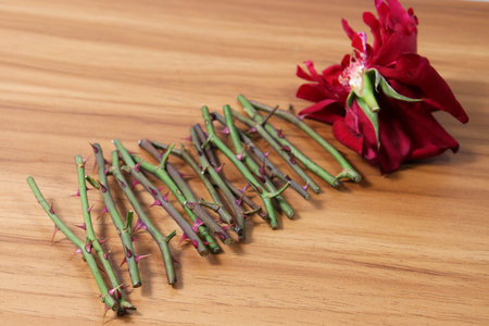 Rose thorn stock with split roses on wooden table