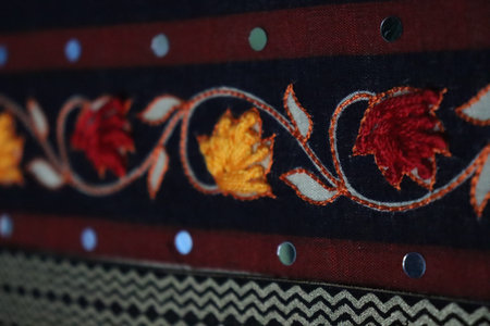 hand craft design on saree with Niddle