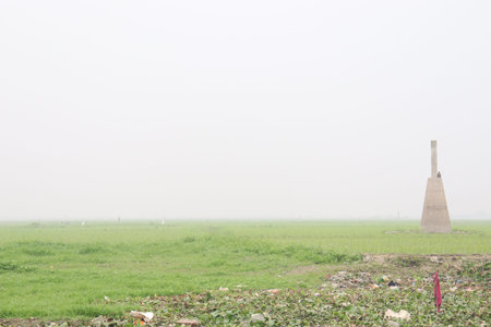 natural view with green field and gray sky