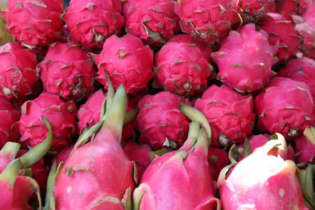 tasty and healthy dragon fruit stock on shop for sellの写真素材