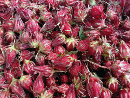 tasty and fresh roselle stock on shop for sell