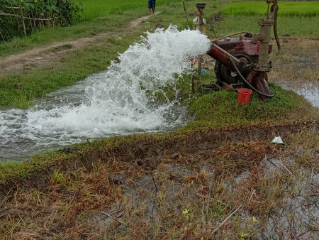 water splash of pump on paddy firm for sewageの写真素材