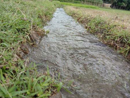 water drain closeup on paddy firm for sewage