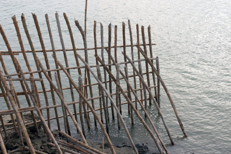 bamboo fence and wall for safety of beach sandの写真素材