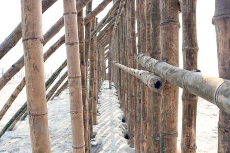 bamboo fence and wall for safety of beach sandの写真素材