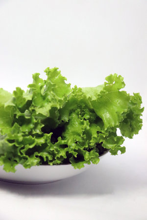 tasty and healthy green colored lettuce leaf on plateの写真素材