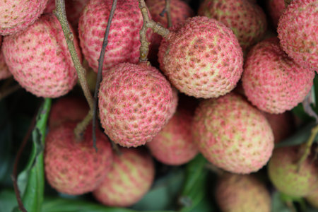 tasty and healthy litchi bunch in farm for harvest and sell
