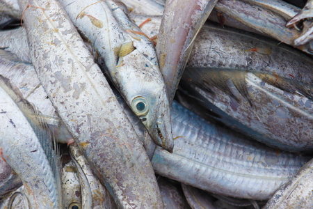 sea fish stock on beach in bangladesh for harvest