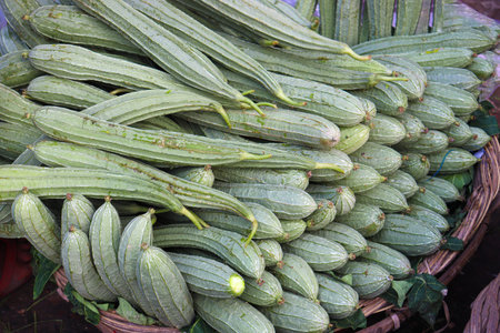 healthy and fresh luffa gourd stock on shop for sell