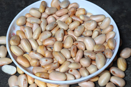 tasty and healthy ripe jackfruit seeds stock on shop for sell