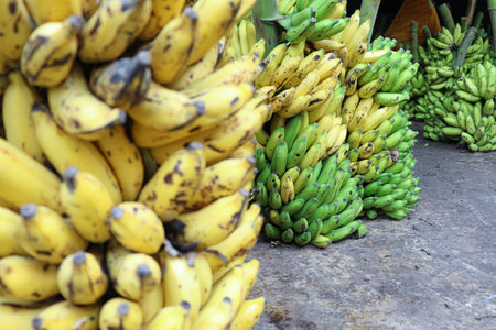 tasty and healthy ripe banana bunch stock on shop for sellの写真素材