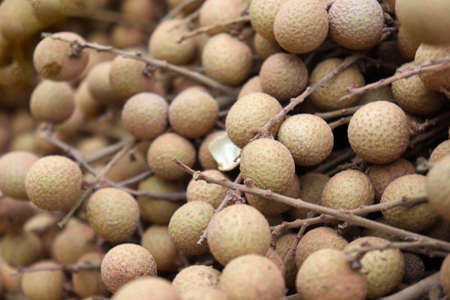 Tasty and Healthy Longan Stock on shop for sellの写真素材