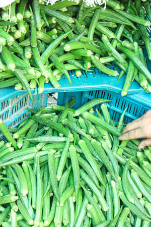 fresh and healthy lady finger stock on shop for sellの写真素材