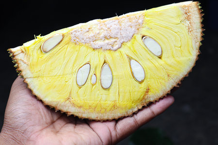 tasty and healthy jackfruit with seed for eat