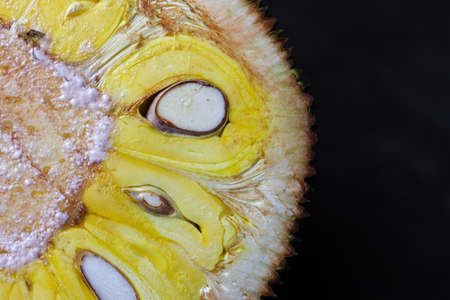 tasty and healthy jackfruit with seed for eatの写真素材