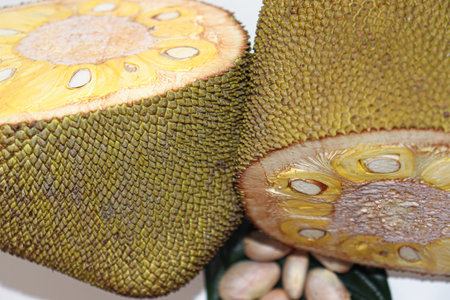 tasty and healthy jackfruit with seed and leaf for eat