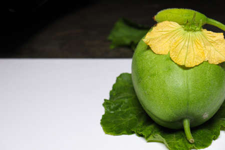wax gourd with flower on shop for sellの写真素材