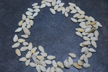 wax gourd seeds stock on shop for harvest