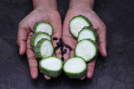 Ridges Gourd stock with seed on hand for farming