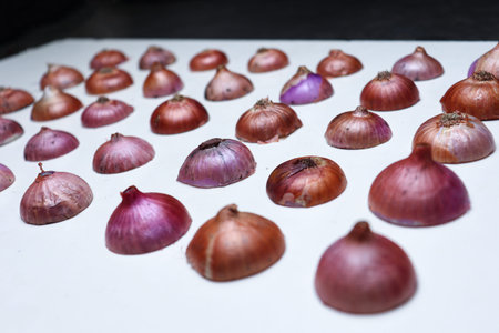 a texture background of onion stock for any use
