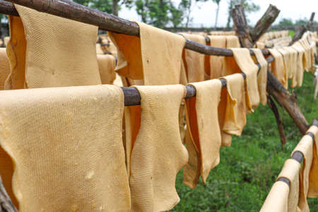natural raw rubber Sheets on factory for refining drying and processingの写真素材