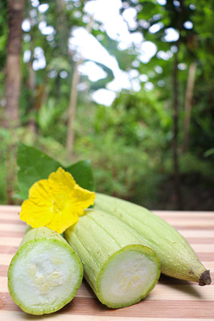 raw green sponge gourd with flower and leaf on farm