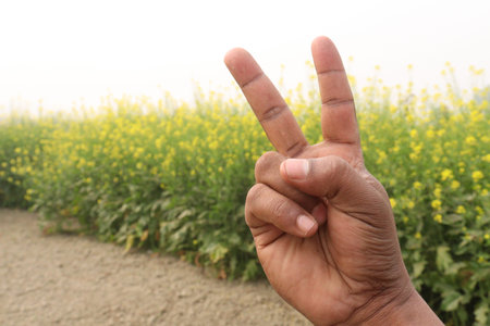 finger sign with mustard farm for deaf people or farmer