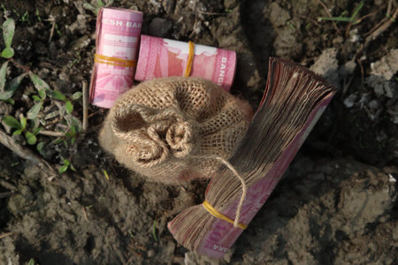 money bag on paddy farm are cash crops