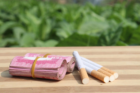 green colored tobacco farm with bank note and cigarette for harvestの写真素材