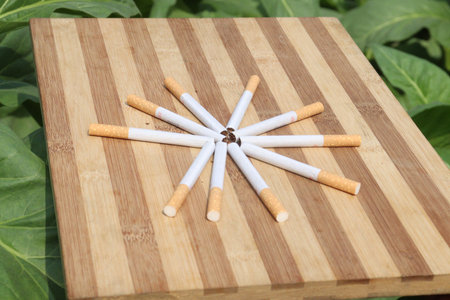 cigarette on table in tobacco farm for harvest are cash crops