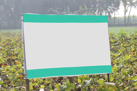 peruvian pima cotton farm with sign board on hand for harvest are cash cropsの写真素材
